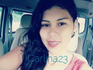 Carlina23