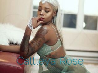 Cattleya_Rose
