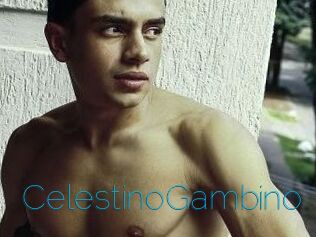 CelestinoGambino