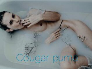 Cougar_puma