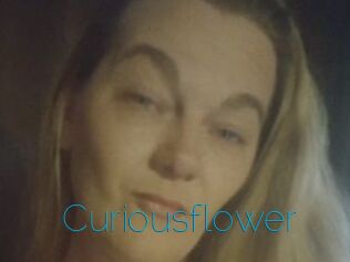 Curiousflower