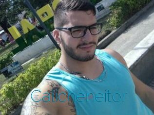 Calicheneitor