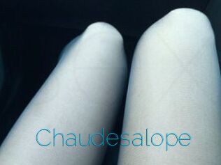 Chaudesalope