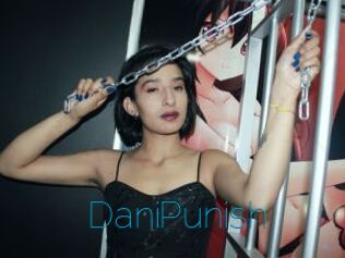 DaniPunish
