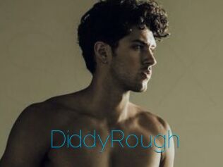 DiddyRough