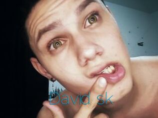 David_sk