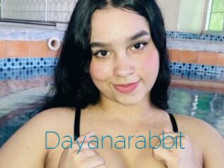 Dayanarabbit