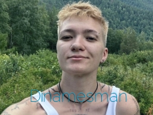 Dinamesman
