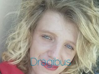 Dragibus
