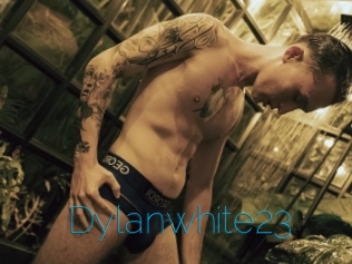 Dylanwhite23