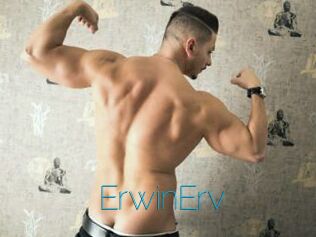 ErwinErv