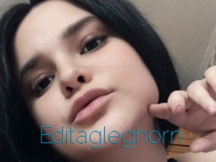Editagleghorn