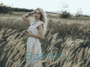 Elizamool