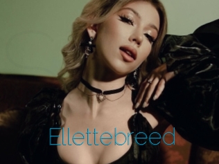 Ellettebreed