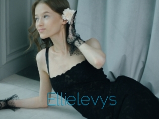 Ellielevys