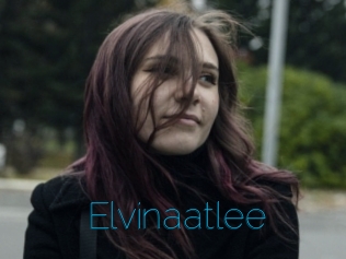 Elvinaatlee