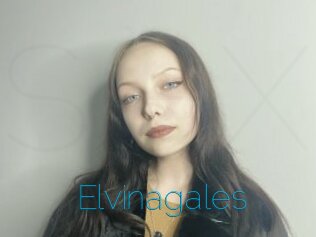 Elvinagales