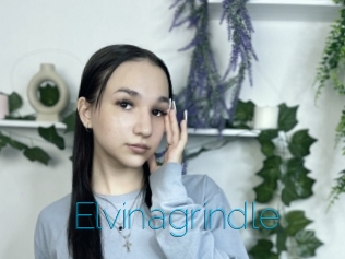 Elvinagrindle