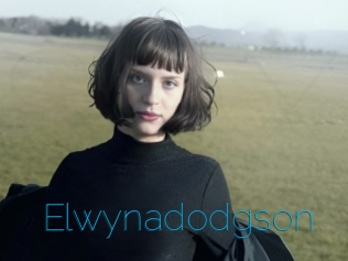 Elwynadodgson