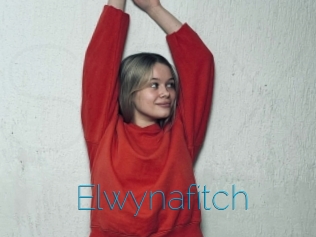 Elwynafitch