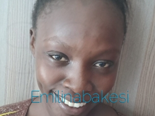 Emilinabakesi