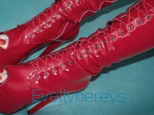 Evellynereys