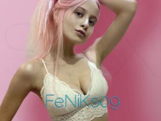 FeNiKs09