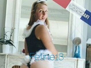 Feline18