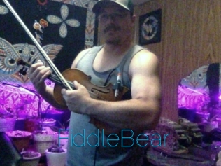 FiddleBear