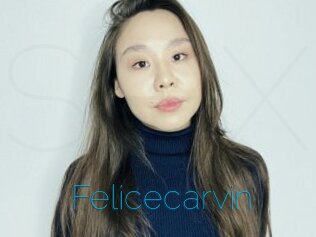 Felicecarvin