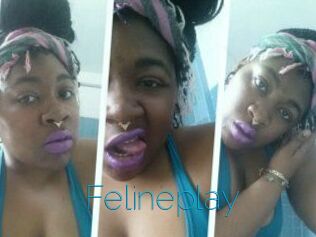 Felineplay