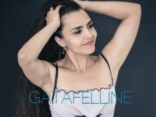 GATAFELLINE