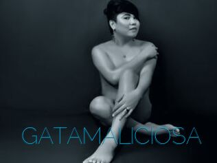 GATAMALICIOSA