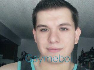 Gaymeboi