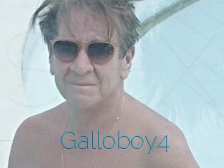 Galloboy4