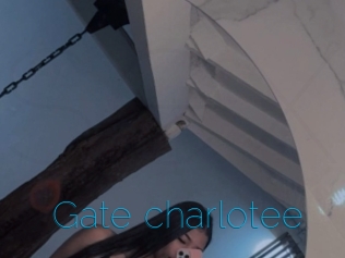 Gate_charlotee