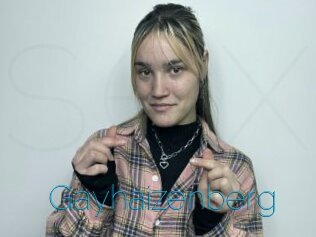 Gayhaizenberg