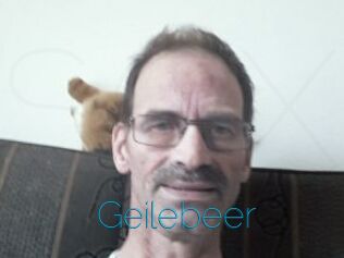 Geilebeer