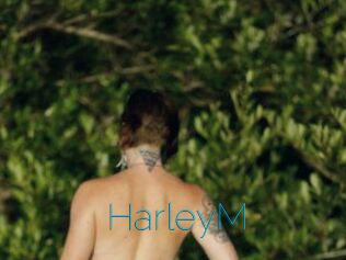 HarleyM