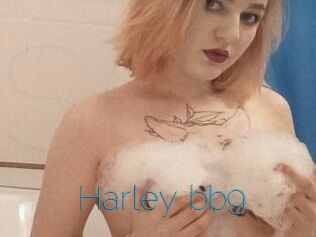 Harley_bb9