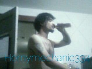 Hornymechanic334