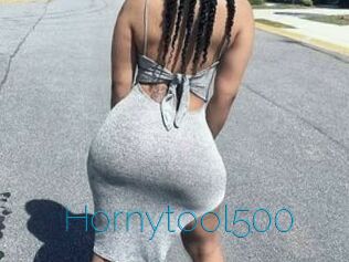 Hornytool500