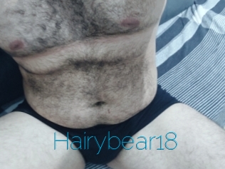 Hairybear18