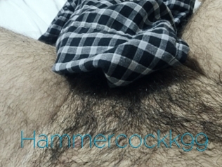 Hammercockk99