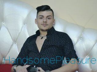 HandsomePleasure