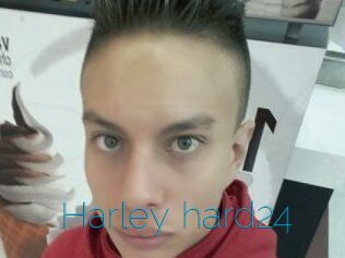 Harley_hard24