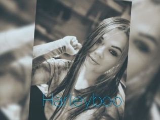 Harleyboo