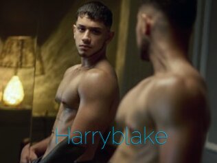 Harryblake
