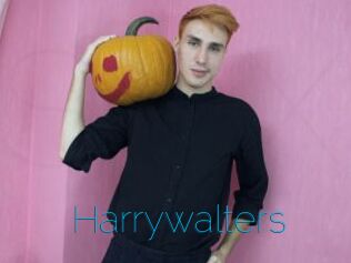 Harrywalters