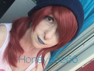 Honeybee66